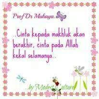 Pin On I Muslim