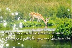I d a bm g as the deer pants for the water As The Deer Panteth For The Water By Cadet