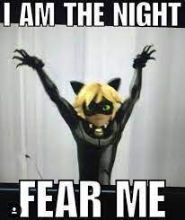 Image Result For Miraculous Ladybug Memes In English Catsfunnylaughingsohard Miraculous Ladybug Miraculous Ladybug Memes Miraculous Ladybug Funny