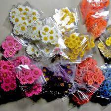 Want to stay up to date on all things wildflora? Dried Flowers Mix Colors Chrysanthemum Paludosum 300packs 1800pcs Pressed Flower Dried Flowers Flowers Mixpressed Flowers Aliexpress