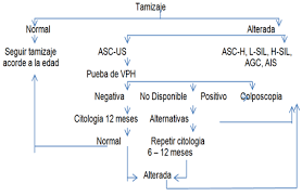 Por ello se denomina a veces cáncer de endometrio. Vista De Tamizaje Y Tratamiento De Las Lesiones Precancerosas Para La Prevencion Del Cancer Cervicouterino Revista Medica Sinergia