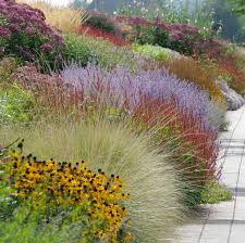 Zet hem dan achter in de border en combineer bijvoorbeeld met roze, witte perovskia atriplicifolia 'blue spire' is een bladverliezende tuinplant. Naturalistische Border Projecten Chris Ghyselen Tuinarchitect