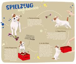 Diese 10 aufräumspiele helfen kindern, spielerisch ordnung zu schaffen. Hundespiele Im Haus Unterwegs Fressnapf