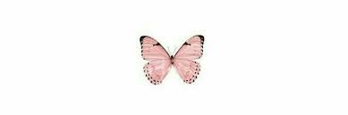 We would like to show you a description here but the site won't allow us. Pin On Twitter Head Photos Blue Aesthetic Twitter Header Photos Twitter Header Trippy Twitter Header Aesthetic