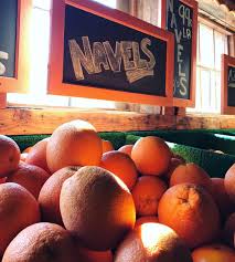 Orange Season At The Orange Patch On The Freshfoodietrail Orange Season Instagram Orange