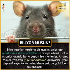 1 Begenme 0 Yorum Instagram Da Bilgi Cemiyeti Bilgicemiyeti Bu Tarz Paylasimlarin Devami Icin Simdi Begen Bilgi Bilgi Alintilari Biliyor Muydunuz
