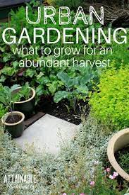 Some people try to overcomplicate things. Looking For Some Small Vegetable Garden Ideas Make The Most Of The Space You Have Small Vegetable Gardens Organic Vegetable Garden Indoor Vegetable Gardening