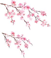 Free shipping on orders over $25 shipped by amazon. Decowall Dwl 1903 Cherry Blossoms Flowers Wall Art Stickers Sakura Branches Floral Wall Decals Removable Decorations Poster Bedroom Living Room Amazon Co Uk Baby Products