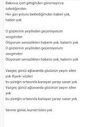 aleyna polen sarki sozleri haber