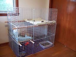 Females are very territorial (if you ever want to breed your rabbit, put the. How To Help Pet Rabbits Adjust To A New Home Pethelpful
