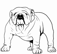 Bulldog coloring book for adults: Bulldog Coloring Pages Best Coloring Pages For Kids