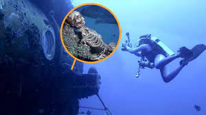 Grayback has finally been found. Experts Unraveled The Mystery Of A Lost Wwii Submarine And 80 Vanished Crew Members Youtube