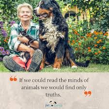 If We Could Read The Minds Of Animals We Would Find Only Truths Cat Dog Pet Petlover Petquotes Animals Nature Pets Animal Quotes Pet Owners