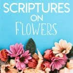 Check spelling or type a new query. 25 Interesting Bible Verses About Flowers Think About Such Things