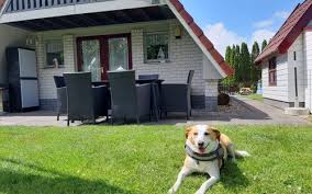 Finden sie provisionsfreie wohnungen oder auch nachmieter für ihren mietvertrag in friesland. Ferienhaus Ferienwohnung In Friesland Mieten