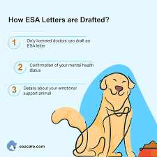 Landlords that require registration or certificates are misinformed. Certification Needed To Get An Emotional Support Animal Esa Care