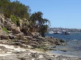 Blackwall reach is situated in cubitt town. Blackwall Reach Reserve Urban Bushland Council Wa