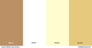 Cream White Color Scheme Palettes
