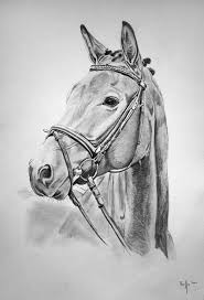 Pferdeportrait Din A3 Bleistiftzeichnung Auf Strukturpapier Pferd Zeichnen Portraitzeichnung Portrai Pferde Kopf Zeichnen Pferde Zeichnen Bleistiftzeichnung