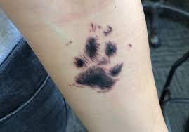We are providing the list of top tattoo artists and shops in michigan. My Dog Sadie S Paw Print My Best Friend For 12 Years Done Today By Trent At Body Armor Tattoo Shop In Kalamazoo Mi Tattoos