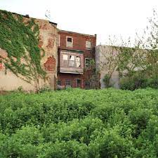 How To Buy Vacant Property From Philly For 1 Curbed Philly
