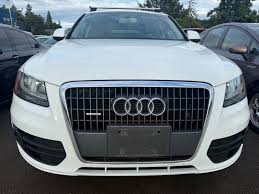 Image result for Ice Silver 2011 Q5