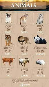 Chinese Animal Names Chinese Language Learning Chinese Language Learn Chinese
