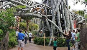 Jacksonville Zoo Named In Top 25 Best Zoos In Us Jacksonville Zoo Zoo Architecture Zoo