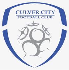 You can host and invite your friends or play with other players and teams! Football Association Logo German Football Federation Logo Png Image Transparent Png Free Download On Seekpng