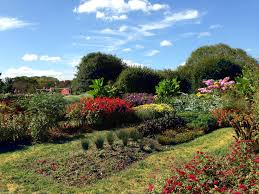 Rutgers Gardens New Brunswick Nj Photo By Polka Dot Heart Art Heart Art Photo Incredible Places