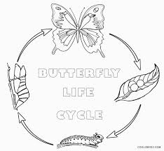 Butterfly Life Cycle Coloring Pages Butterfly Coloring Page Insect Coloring Pages Valentines Day Coloring Page