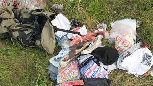 Plane debris, body remains and passengers' belongings make up for a surreal crash site of the malaysia flight mh17. Gruesome Images Of Malaysia Mh17 Plane Crash In East Ukraine Appear Online Rt World News