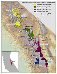 Includes notes, 2 coverage maps and 2 vicinity maps. Sierra Nevada Bighorn Sheep Maps And Locations