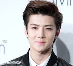 Contact sehun exo on messenger. Sehun Profile And Facts Sehun S Ideal Type Updated