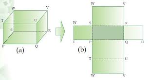 Soal Matematika Kelas 5 Kd 3 6 Jaring Jaring Kubus Dan Balok Sekolahdasar Net