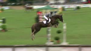 Check spelling or type a new query. Clipmyhorse Tv Deutschland Cassandra Orschel Dacara E Sind Die Neuen Landesmeister Facebook