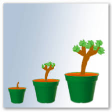 Où planter un pied de vigne ? Plantation De La Vigne