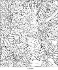 Welcome To Dover Publications Coloring Books Coloring Pages Animal Coloring Pages