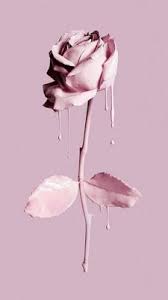 30 Gambar Bunga Mawar Yang Sangat Cantik Server Gambar Kumpulan Gambar Keren Dan Informasi Umum Rose Wallpaper Beautiful Wallpapers Flower Wallpaper