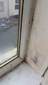 If you are considering replacement windows and doors for your home, consider stanek windows! How To Absorb Condensation From Windows Atlantis Property Preservation