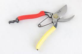 Tobisho Sr 1 Pruner Hida Tool