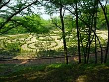 Informacje dla mieszkańców miasta, aktualne wydarzenia, działalność urzędu, przewodnik turystyczny. Arboretum Mahrisches Tor Wikipedia
