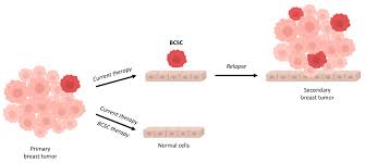 What are the symptoms of breast cancer in dogs? Molecules Free Full Text Targeting Breast Cancer Stem Cells To Overcome Treatment Resistance