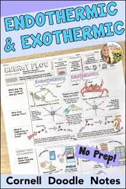 Endothermic Exothermic Reactions Cornell Doodle Notes Distance Learning In 2020 Science Teaching Resources Teaching Chemistry Middle School Chemistry