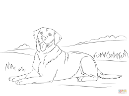 Labrador Retriever Dog Coloring Page Puppy Coloring Pages Labrador Dog