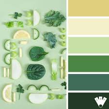 Vert C Est Vert Tout Vert Tout L Univers Est Vert Journal Des Couleurs Vert Univers Couleur