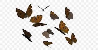 Butterfly Butterflies Fly Image Fluttering Butterflies Png 600x420px Butterfly Beak Bird Butterflies And Moths Butterflies Fly Thousands of new butterfly png image resources are added every day. butterfly butterflies fly image