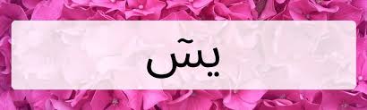 Nah itulah bacaan surat yasin dalam bahasa arab, latin beserta terjemahan artinya dalam bahasa indonesia. Bacaan Quran Surat Yasin Arab Latin Lengkap Terjemahannya