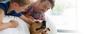Air france allows pets onboard both international and domestic destinations. Travelling With Pets Qantas