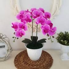 Bunga plastik hias hiasan artificial artifisial flower anggrek. Jual Bunga Meja Rangkaian Bunga Asli Prestisa